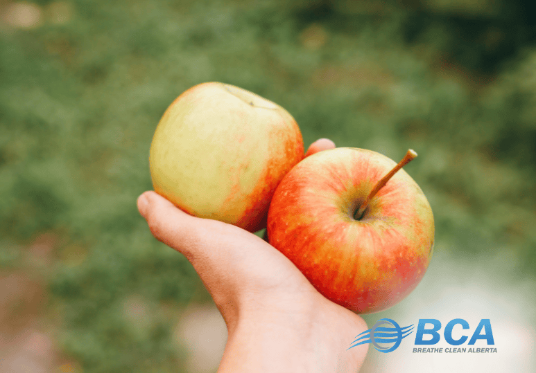 Furnace Cleaning Costs Made Simple: Compare Apples to Apples Pricing